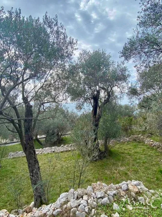 Prodaja, plac, 1650m², Reževići, Budva