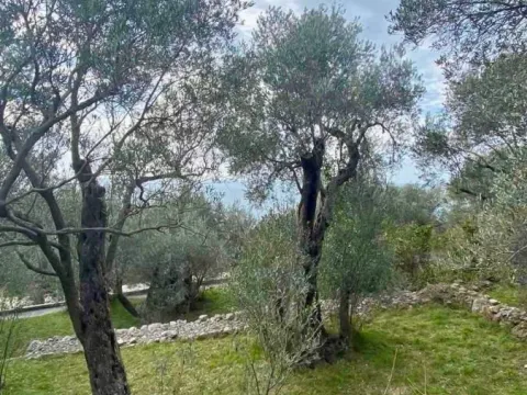 Prodaja, plac, 1650m², Reževići, Budva - image 5