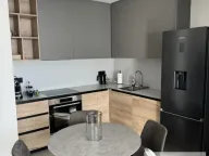 Izdavanje, dvosoban stan, 55m², Savski Venac, Beograd - image 3