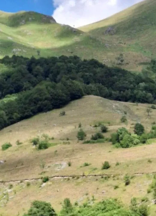 Prodaja, plac, 162000m², Međuriječje, Kolašin