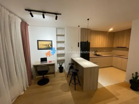 Izdavanje, dvosoban stan, 60m², Stari Grad, Beograd - image 3