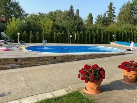 Sale, house, 450m², Krstašice, Irig - image 13