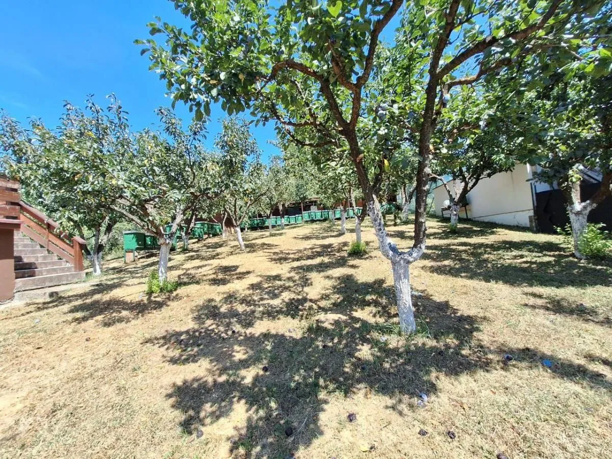 Sale, house, 253m², Banja Vrdnik, Irig