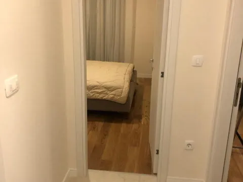 Izdavanje, jednosoban stan, 47m², Central Point, Podgorica - image 2