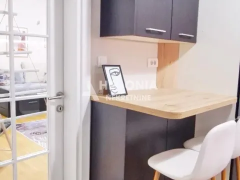 Izdavanje, jednosoban stan, 34m², Stari Grad, Beograd - image 5