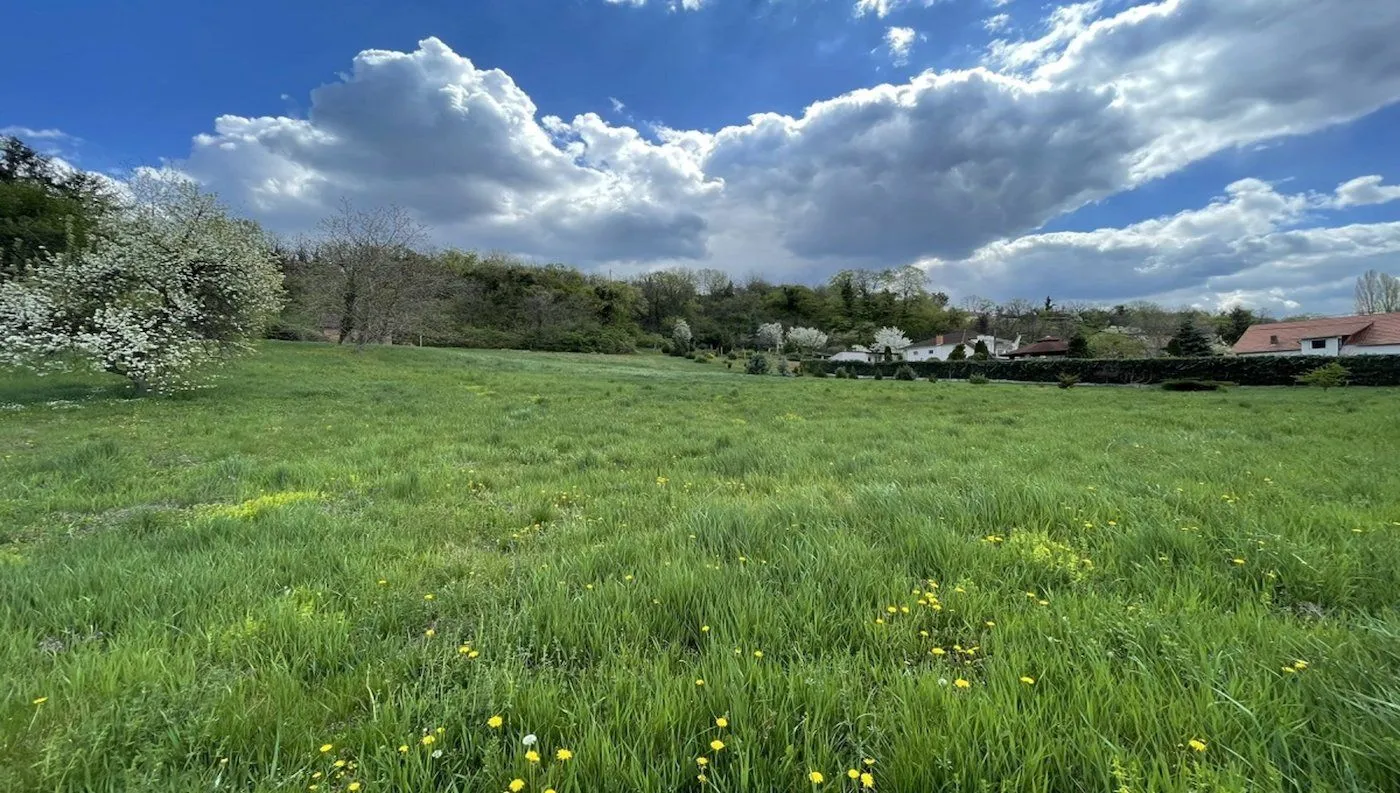 Prodaja, plac, 3104m², Ribnjak, Petrovaradin