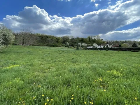 Prodaja, plac, 3104m², Ribnjak, Petrovaradin - image 4