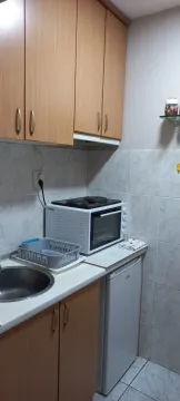 Small kitchen with wooden cabinets, a sink, and a mini stove. - image 4