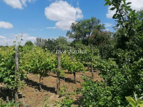 Prodaja, kuća, 26m², Novi Slankamen, Inđija - image 4