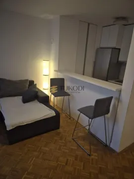 Izdavanje, dvosoban stan, 50m², Novi Beograd Sve Podlokacije, Beograd - image 12