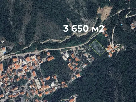 Prodaja, plac, 3650m², Budva, Crna Gora - image 4