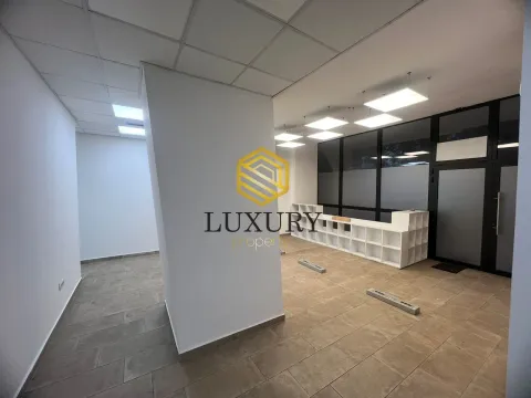 Izdavanje, poslovni prostor, 245m², Blok 5, Podgorica - image 4