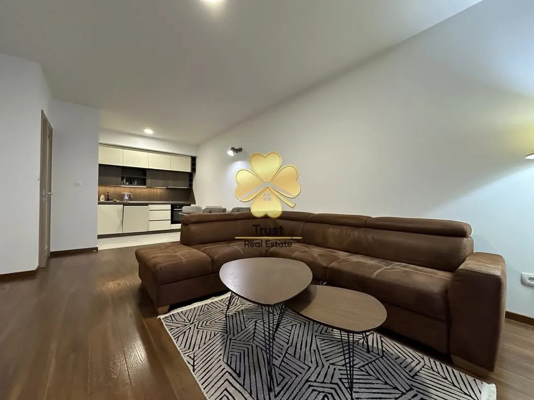 Rent, one bedroom apartment, 50m², Master Kvart, Podgorica