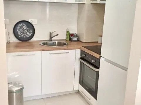 Izdavanje, jednosoban stan, 42m², Central Point, Podgorica - image 5