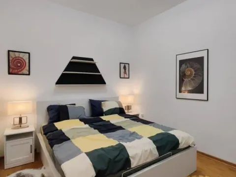 Izdavanje, dvosoban stan, 44m², Vračar Sve Podlokacije, Beograd - image 7