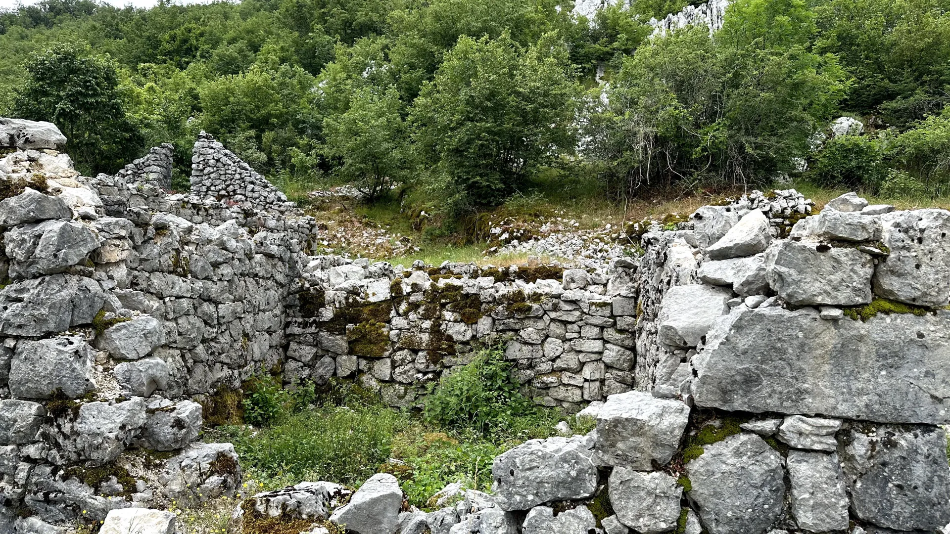Prodaja, plac, 12000m², Grahovo, Nikšić