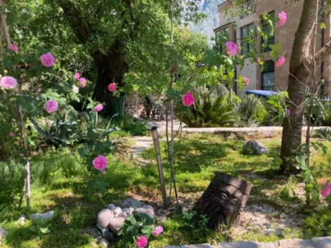 Prodaja, kuća, 428m², Orahovac, Kotor - image 11