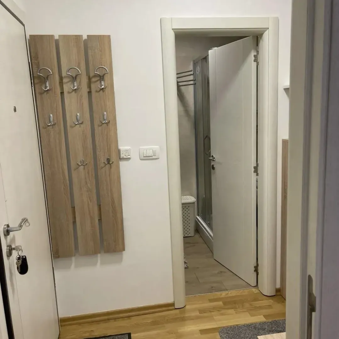 Rent, one bedroom apartment, 46m², Blok 9, Podgorica