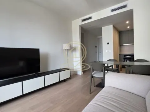 Izdavanje, dvosoban stan, 47m², Novi Beograd Sve Podlokacije, Beograd - image 2