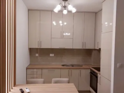 Izdavanje, jednosoban stan, 47m², Zabjelo, Podgorica - image 4