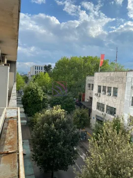 Pogled sa terase na gradsku ulicu i drveće. - image 10