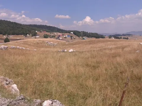 Prodaja, plac, 652m², Motički gaj, Žabljak - image 3