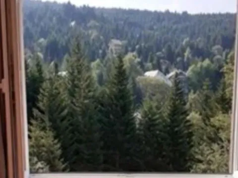 Sale, two bedroom apartment, 35m², Kopaonik, Srbija - image 5