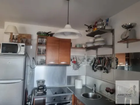 Izdavanje, dvosoban stan, 45m², Vračar Sve Podlokacije, Beograd - image 4