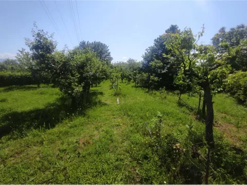 Prodaja, plac, 2564m², Niš, Srbija - image 8