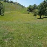 Prodaja, plac, 3000m², Kolašin, Crna Gora - image 4