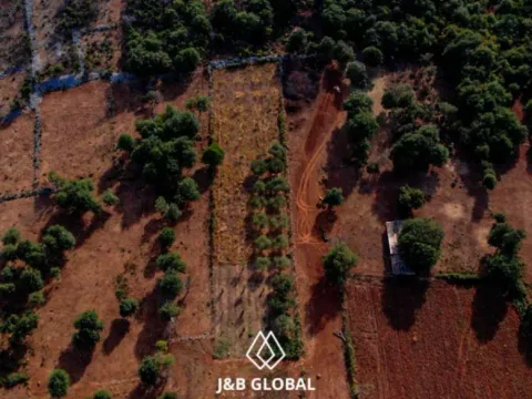 Prodaja, plac, 2600m², Krimovica, Kotor - image 3