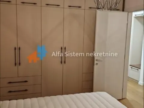 Izdavanje, dvosoban stan, 57m², Novi Beograd Sve Podlokacije, Beograd - image 7