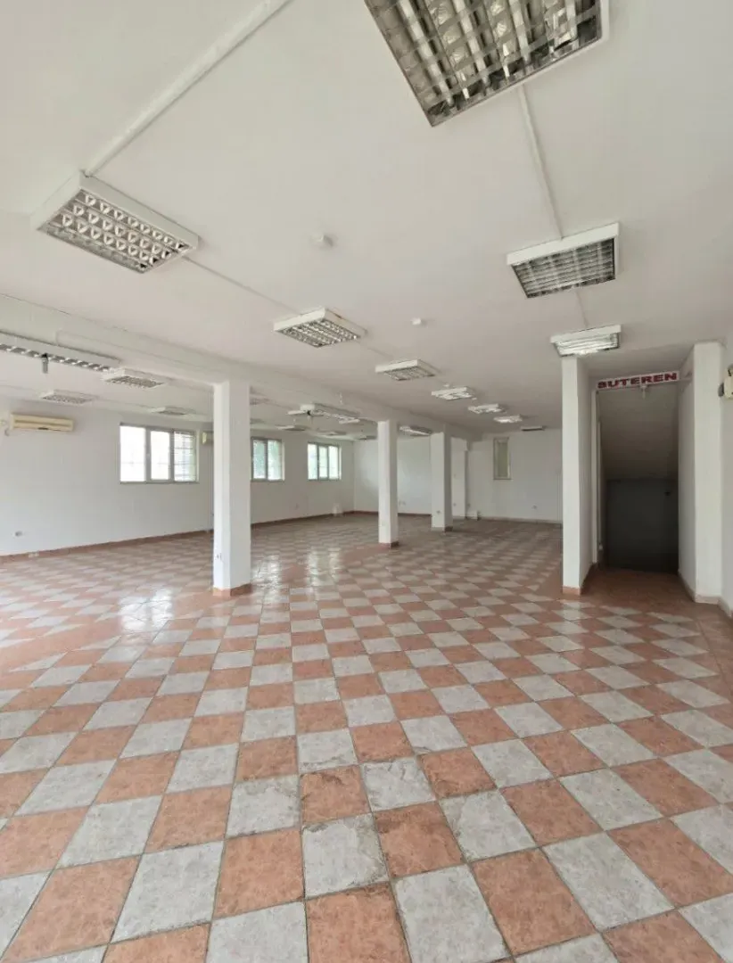Izdavanje, poslovni prostor, 310m², Zagorič, Podgorica