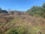  Land Lot for Sale, 1016m2, Radanovići, Kotor