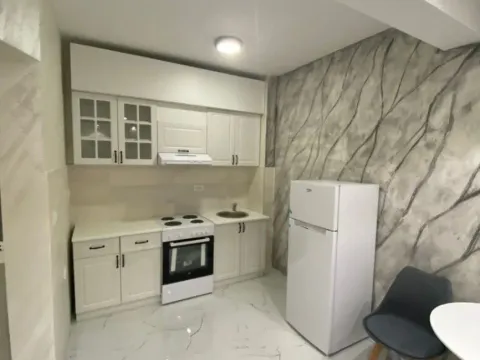 Rent, one bedroom apartment, 45m², Lazi, Budva - image 7