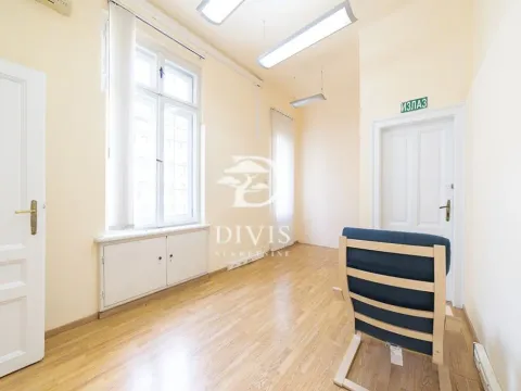 Izdavanje, poslovni prostor, 255m², Vračar Centar, Vračar Sve Podlokacije - image 6