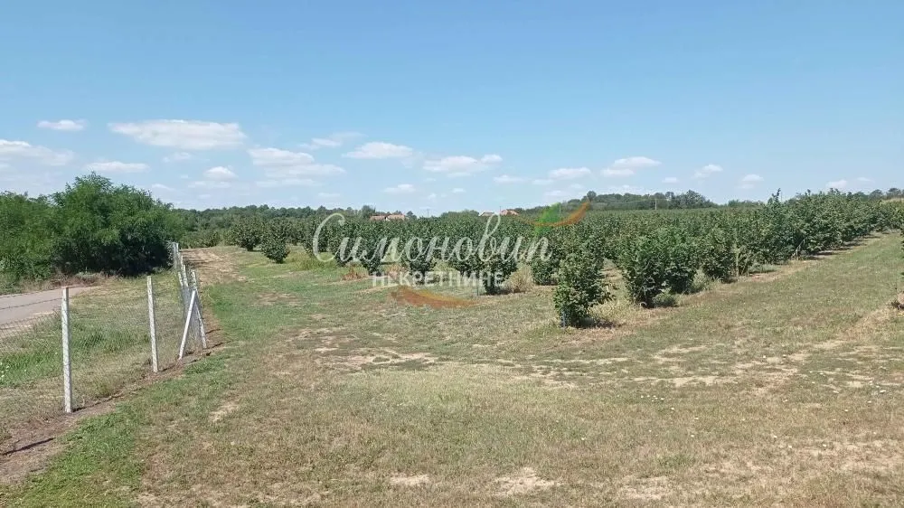 Prodaja, plac, 63000m², Centar, Ub