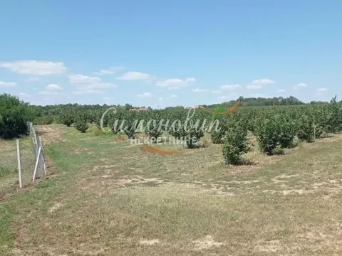 Sale, land lot, 63000m², Centar, Ub - image 6