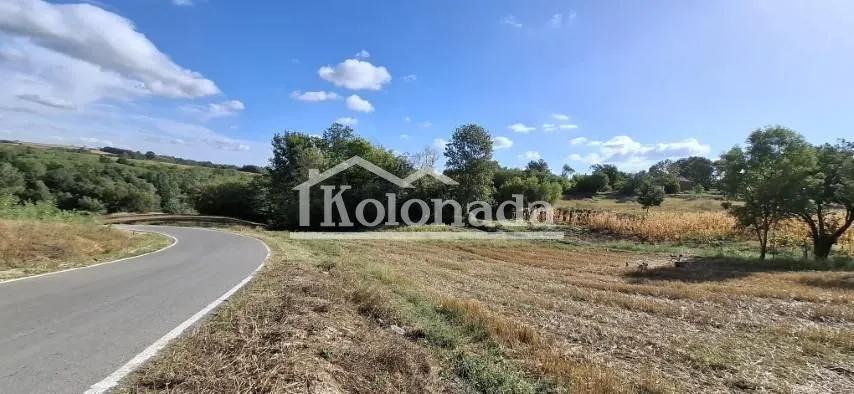 Pogled na prilazni put i okolni pejzaž sa zelenilom.