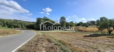 Pogled na prilazni put i okolni pejzaž sa zelenilom. - image 3