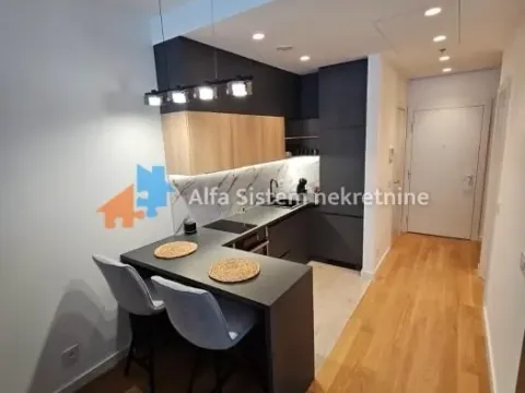 Izdavanje, jednosoban stan, 40m², Novi Beograd Blok 65, Novi Beograd Sve Podlokacije - image 10