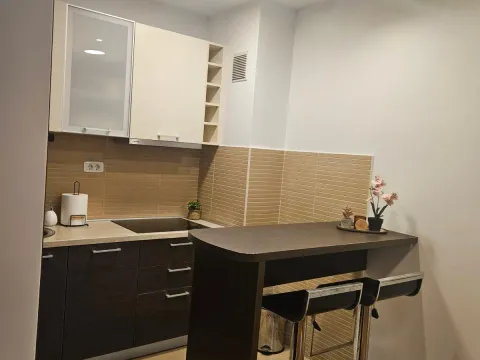 Izdavanje, jednosoban stan, 43m², Tološka šuma, Podgorica - image 4