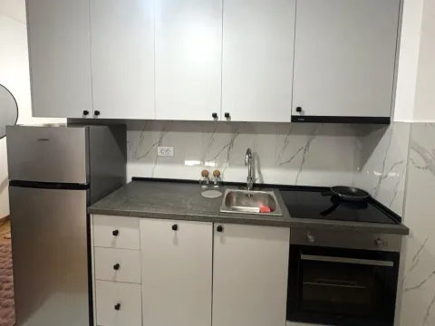 Rent, apartment, 34m², Zabjelo, Podgorica - image 4