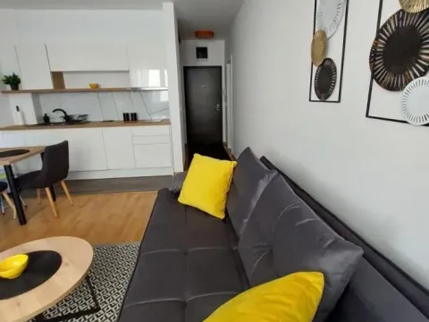 Izdavanje, jednosoban stan, 25m², Autokomanda, Voždovac Sve Podlokacije - image 6