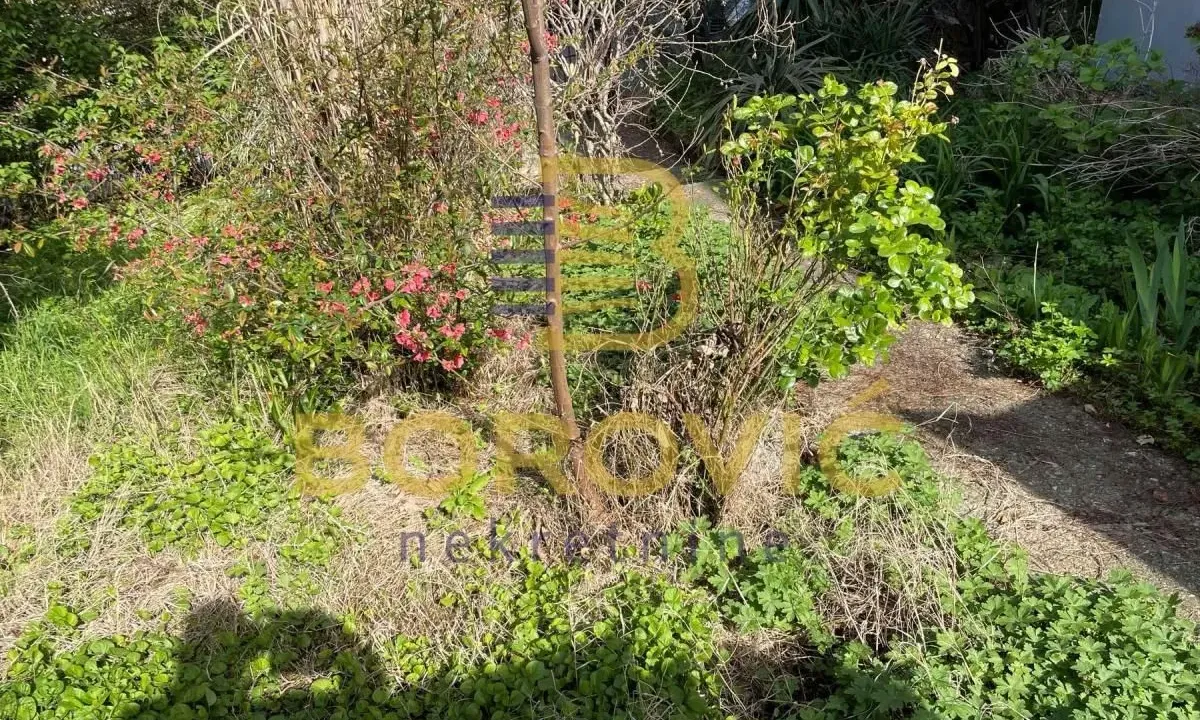 Sale, house, 32m², Karaburma, Palilula Sve Podlokacije