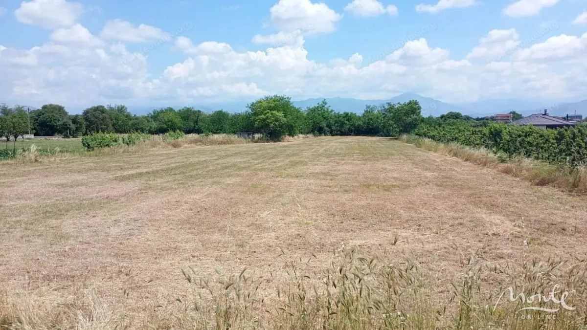Prodaja, plac, 1850m², Farmaci, Podgorica