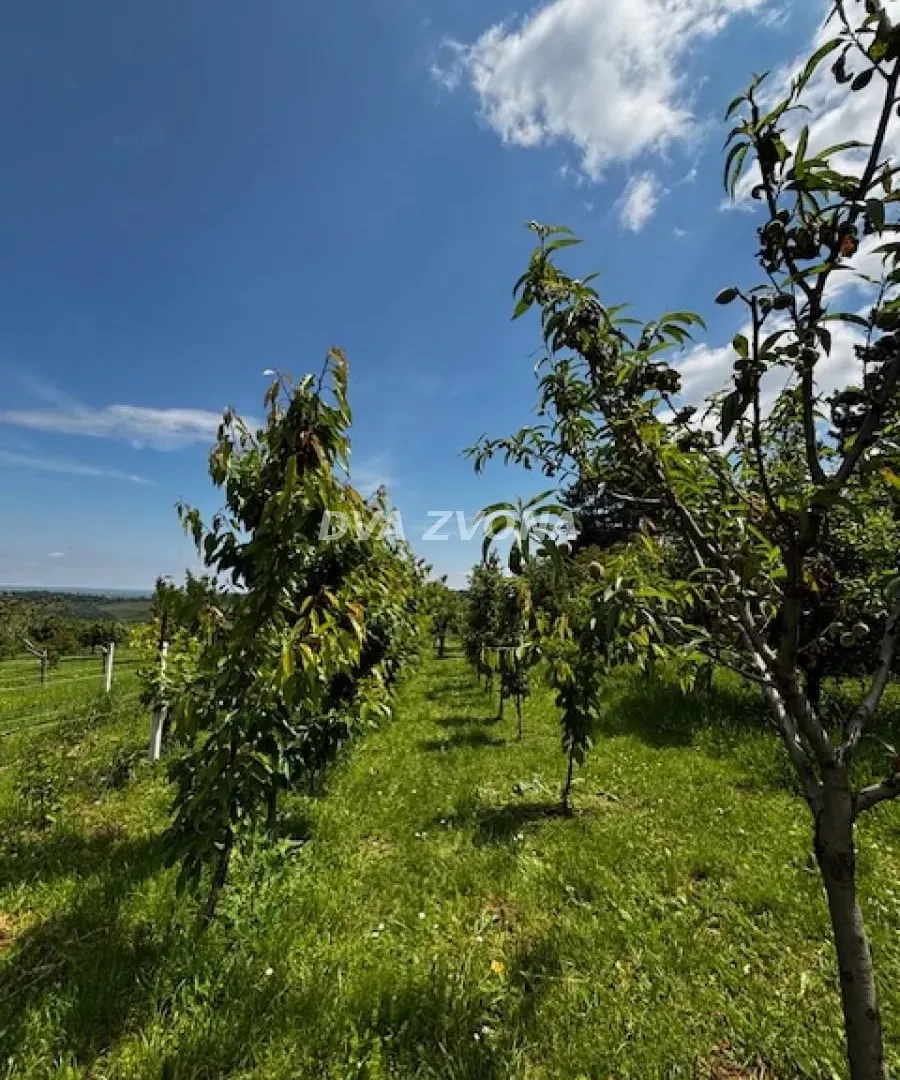 Prodaja, kuća, 56m², Čortanovci, Inđija