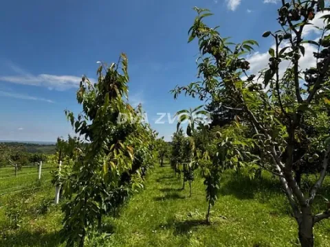 Prodaja, kuća, 56m², Čortanovci, Inđija - image 17