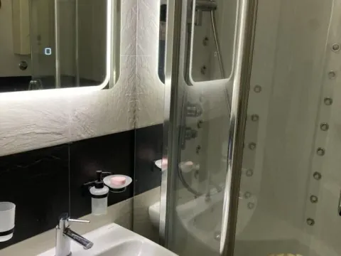 Izdavanje, dvosoban stan, 64m², Vračar Hram, Vračar Sve Podlokacije - image 14