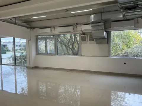 Izdavanje, poslovni prostor, 530m², Crveni Krst, Niš - image 12